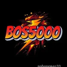 Ikon bos5000